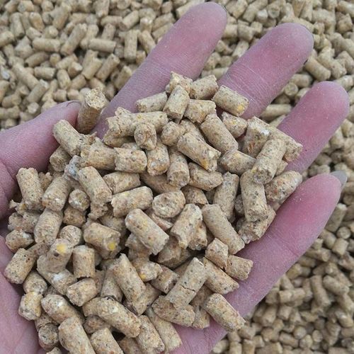 肉牛饲养管理（六）——肉牛季节性饲养管理通则